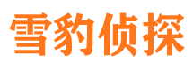 黄浦市私家侦探